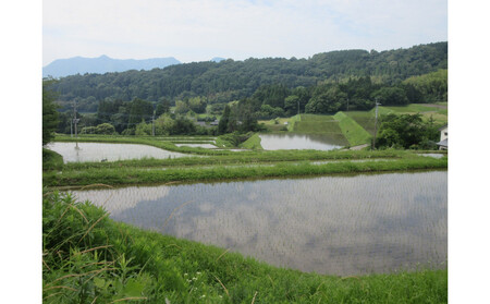 【無農薬・化学肥料不使用】大地の恵みをたっぷり受けた うるち米　ヒノヒカリ（玄米）5kg
