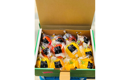 ジューシーパプリカ大玉セット (約2～2.5kg)