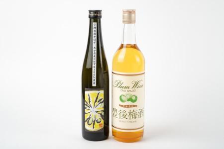 【小野酒造】果実酒 2種 計2本 飲み比べセット（小野屋のかぼす500ml・豊後梅酒720ml） | 果実酒