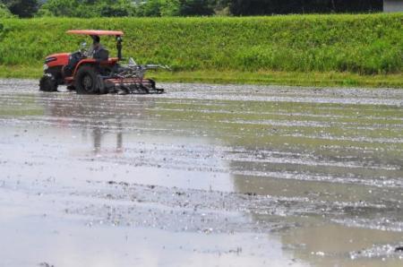 湯布院産 おおくぼさんちの美味しい 白米 5g【ひとめぼれ】