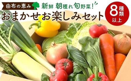 由布の恵み【新鮮 朝穫れ旬野菜！8種類以上！】おまかせお楽しみセット