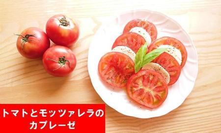 由布の恵み【新鮮 朝穫れ旬野菜！8種類以上！】おまかせお楽しみセット | 野菜