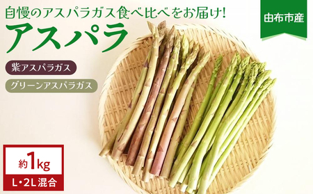 由布市産 珍しい紫アスパラガスとグリーンアスパラガスの食べ比べ約1kg