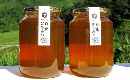 ＼年内発送／ 由布市産 「おおいた百花はちみつ」2kg（１kg入瓶×2本）
