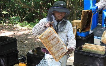 ＼年内発送／ 由布市産 「おおいた百花はちみつ」2kg（１kg入瓶×2本）