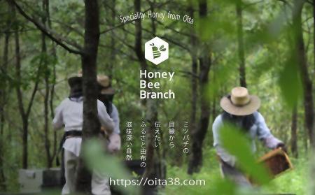 ＼年内発送／ 由布市産 「おおいた百花はちみつ」2kg（１kg入瓶×2本）