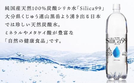 天然炭酸水Silica99　500ml×24本【 シリカ水 500ml シリカ 天然シリカ 天然炭酸水 炭酸水 炭酸 炭酸飲料 微炭酸 人気 おすすめ 大分県 由布市 AJ03】