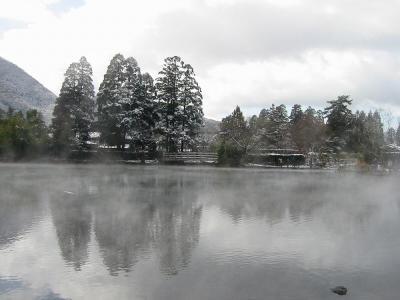【ゆふいん】蕎麦食べつくしセット｜こだわりの原料 有機そば 無添加 つゆ