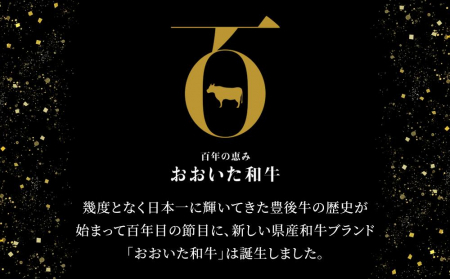 【おおいた和牛】切り落とし（300ｇ×3個）｜ 肉質4等級以上 こだわりの逸品