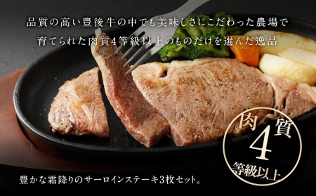 【おおいた和牛】サーロインステーキ3枚（180ｇ×3枚）｜ 肉質4等級以上 こだわりの逸品