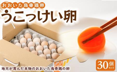 大分うこっけい卵（生食用３０個）