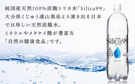 ＜６ヶ月連続お届け 定期便＞天然炭酸水Silica99　500ml×24本