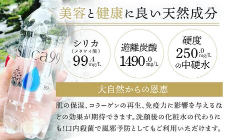 ＜２か月に１度のお届け！全６回 定期便＞天然炭酸水Silica99　500ml×24本