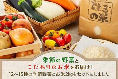 江藤農園おすすめ【旬の野菜（12～15種類）とお米（2kg）】のセット | 湯布院 詰め合わせ