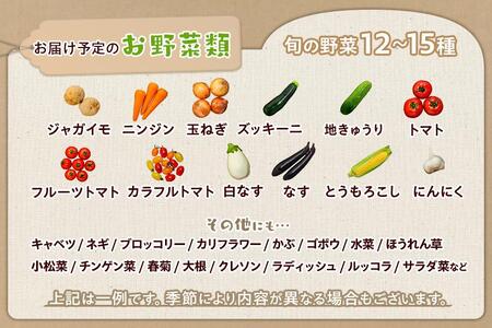 江藤農園おすすめ【旬の野菜（12～15種類）とお米（2kg）】のセット | 湯布院 詰め合わせ