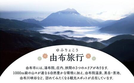 【由布市（湯布院、由布院、湯平、塚原高原）】ふるさと納税宿泊補助券60,000円分【 宿泊】