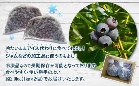 【由布市湯布院町産】 訳あり 冷凍ブルーベリー 2kg（1kg×2個）