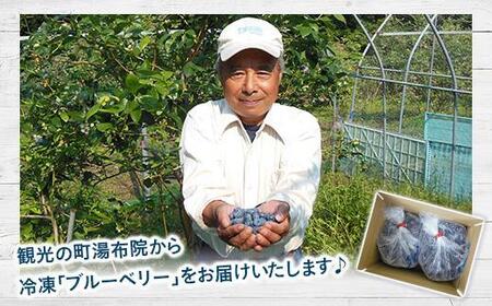 【由布市湯布院町産】 訳あり 冷凍ブルーベリー 2kg（1kg×2個）