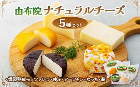 ～由布院チーズ工房からのお届け～贅沢ナチュラルチーズ5種詰め合わせ！