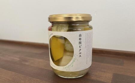 【由布院 草庵秋桜 四季工房】手づくりピクルス（ダイコン・キュウリ・パプリカ）4本セット | ピクルス