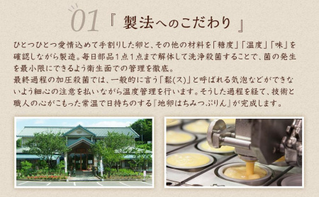 ＼年内発送／ 【お菓子の菊家】地卵はちみつぷりん 12個入