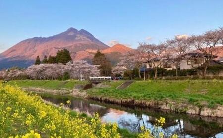 【湯布院】人力車でゆったりゆふいん巡り 30分コース／2名様