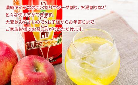 濃縮りんご酢 1000ml×2本（常温保存可能品）【りんご アップル 林檎 ドリンク 飲料 お酢 健康 美容 濃縮 水割り ソーダ割り 1L 紙パック 湯布院 由布院 ゆふいん】