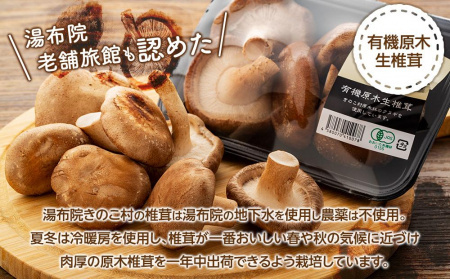 湯布院【有機原木椎茸】とシイタケペーストセット