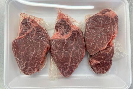 【訳あり】【おおいた和牛】ヒレステーキ 約450g（約150ｇ×3枚）｜肉質4等級以上 国産和牛