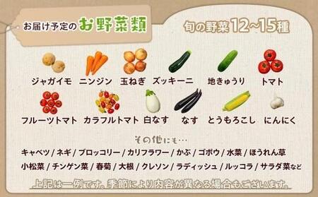 【定期便 全3回】江藤農園おすすめ 湯布院の旬の野菜（12～15種類！）詰め合わせ | 野菜
