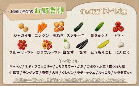 江藤農園おすすめ 湯布院の旬の野菜（12～15種類！）詰め合わせ