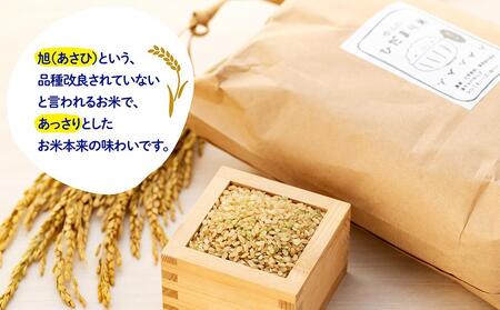 【無農薬・化学肥料不使用】大地の恵みをたっぷり受けた うるち米　あさひ（玄米）5kg