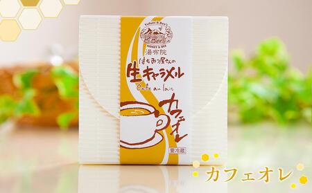 【湯布院のはちみつ屋さん】国産蜂蜜を使用した3種の生キャラメル （プレーン・カフェオレ・アーモンド）各12粒入り 計3箱