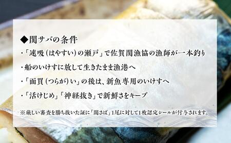 関さば　棒寿司　1本（冷凍）＜大分のブランド「関サバ」＞