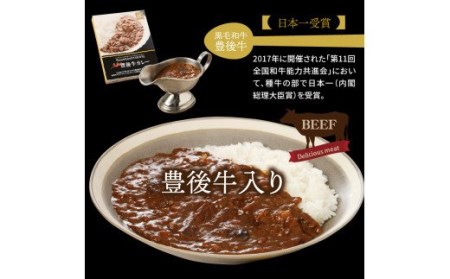 ワンランク上の味わいをご家庭で!豊後牛ホテルカレー・通_29174A