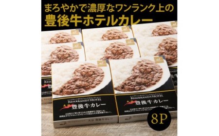 ワンランク上の味わいをご家庭で!豊後牛ホテルカレー・通_29174A