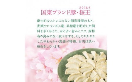 くにさき桜王豚の餃子60個/計0.96kg _1066R