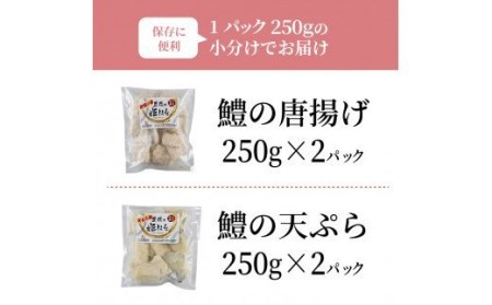 揚げたてが絶品！豊後ハモの唐揚げ＆天ぷら/1kg _0274N