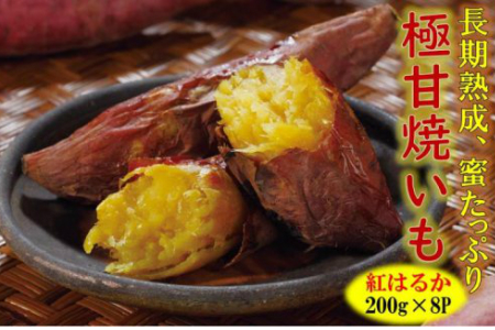 長期熟成!極甘しっとり焼いも/紅はるか1.6kg