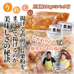 膳ちゃん唐揚げ1.65kg+鶏皮揚げ0.2kg _1100R