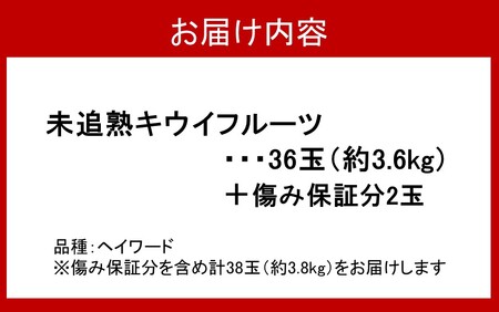 2302R_未追熟 キウイフルーツ 36玉（約3.6kg） + 傷み保証分2玉（約200g）