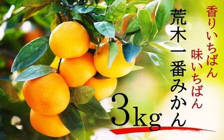【先行予約・年明け配送】令和8年1月から出荷開始 / 荒木一番みかん約3kg_2305R-2