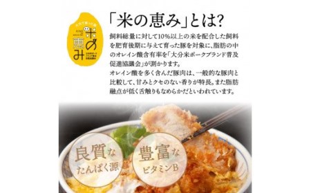 米の恵み豚/ロース,ヒレ贅沢とんかつ食べ尽し1.2kg_1177R