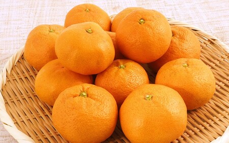 【令和7年12月中旬から発送】楠本農園直送！温州みかん（家庭用）約5kg_2326R