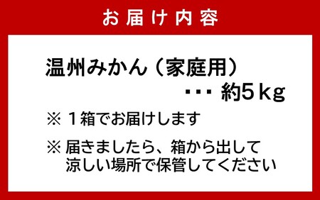 【令和7年12月中旬から発送】楠本農園直送！温州みかん（家庭用）約5kg_2326R