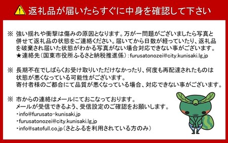 【令和7年12月中旬から発送】楠本農園直送！温州みかん（家庭用）約5kg_2326R