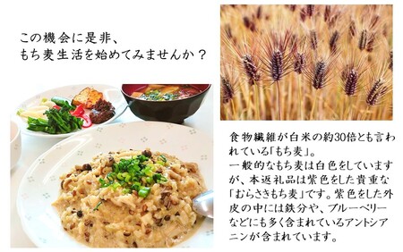 発芽玄米レトルトおかゆセット（おかゆ6袋+むらさきもち麦1袋）_2311R