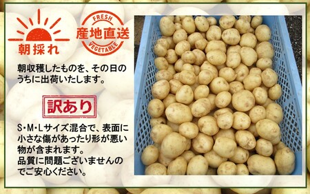 【先行予約】【訳あり】朝収穫してその日に発送！有機栽培じゃがいも5kg（品種：ニシユタカ）_2355R
