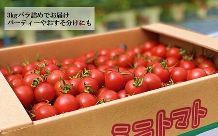 2364R_国東産ミニトマト「濃いとまと」3kg バラ 箱