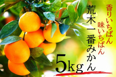 荒木一番みかん5kg